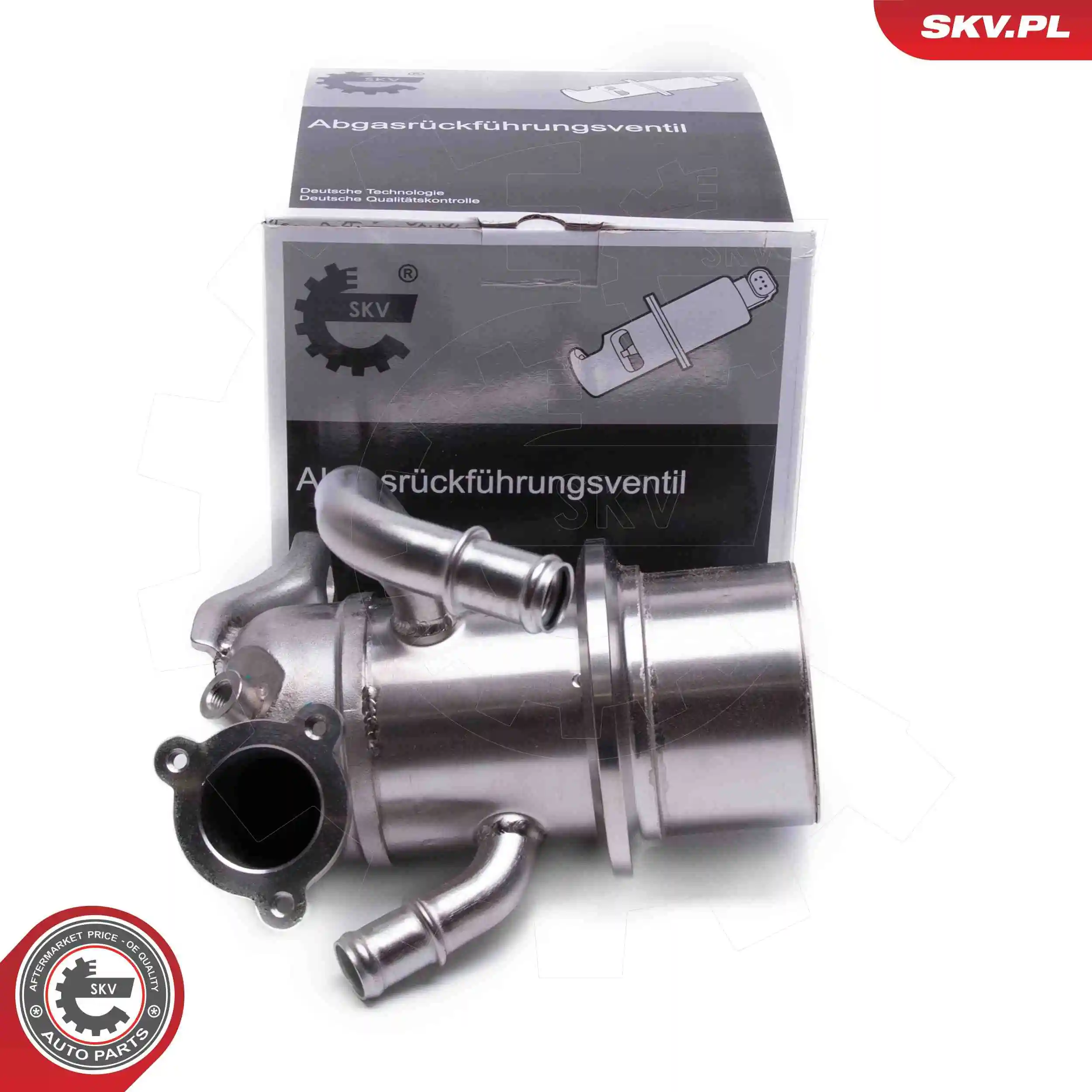 EGR Valve